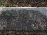 image of grave number 954310